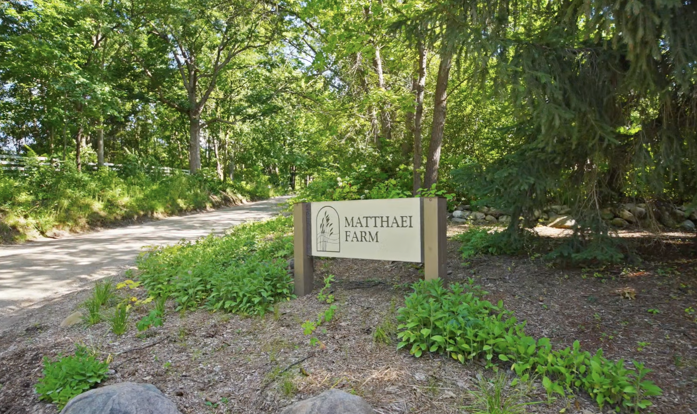 Any Video By Blocs Builder